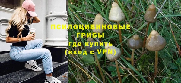 дмт Дмитров