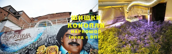 дмт Дмитров
