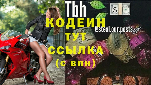 ECSTASY Дмитровск