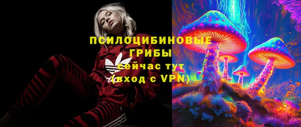 стафф Нея