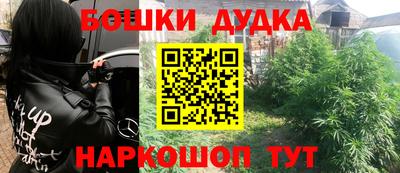 прущие грибы Беслан