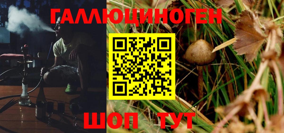где можно купить   Галлюциногенные грибы Psilocybe  Вход с VPN  Острогожск 