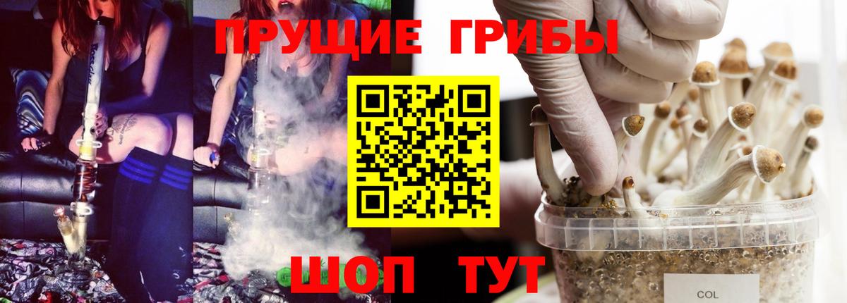 Псилоцибиновые грибы Psilocybine cubensis Острогожск