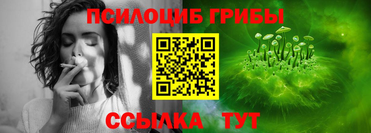 Галлюциногенные грибы MAGIC MUSHROOMS  Псилоцибиновые грибы Magic Shrooms  Острогожск 